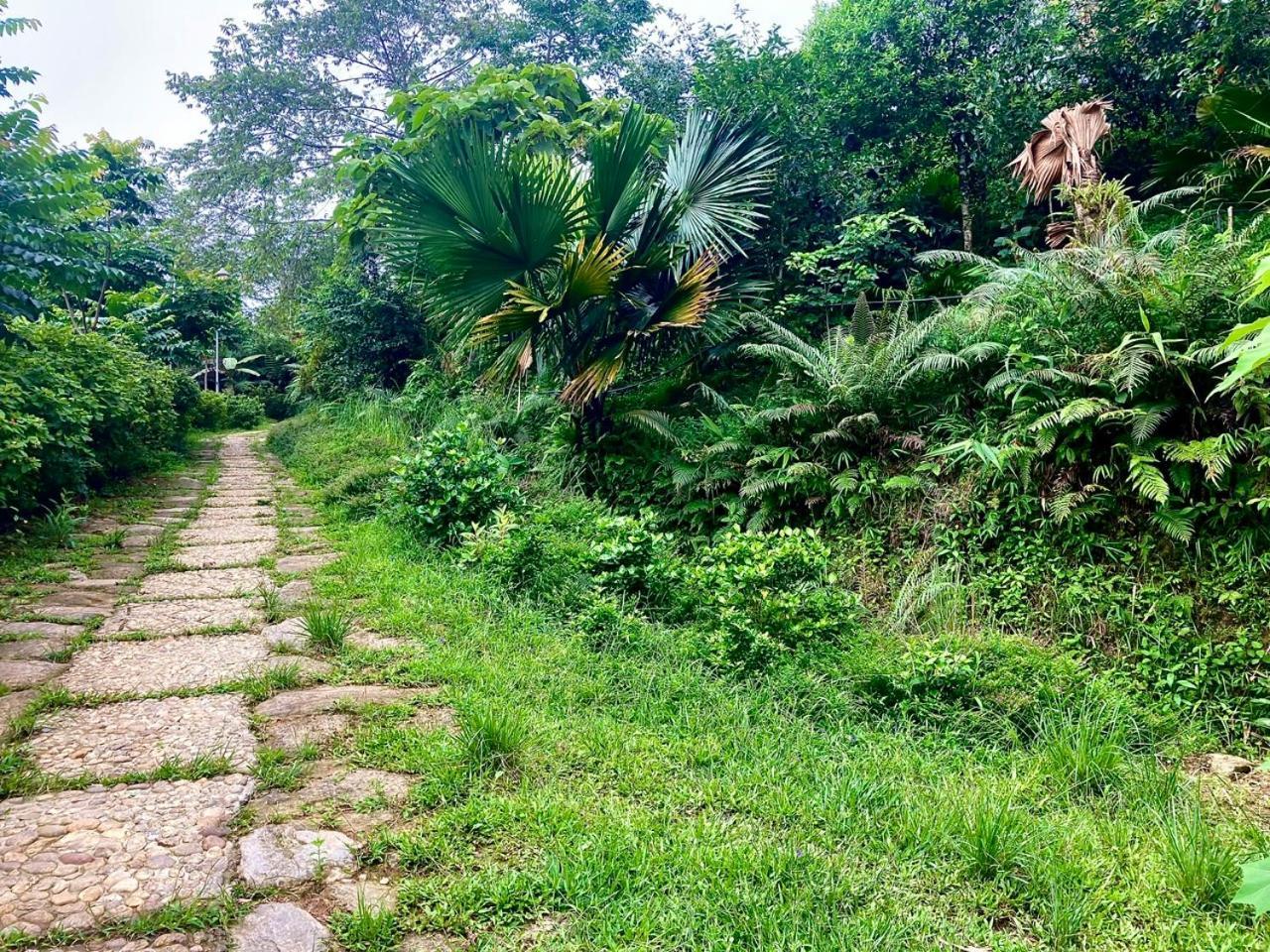 Tvpalm Ecolodge Ha Giang Exterior foto